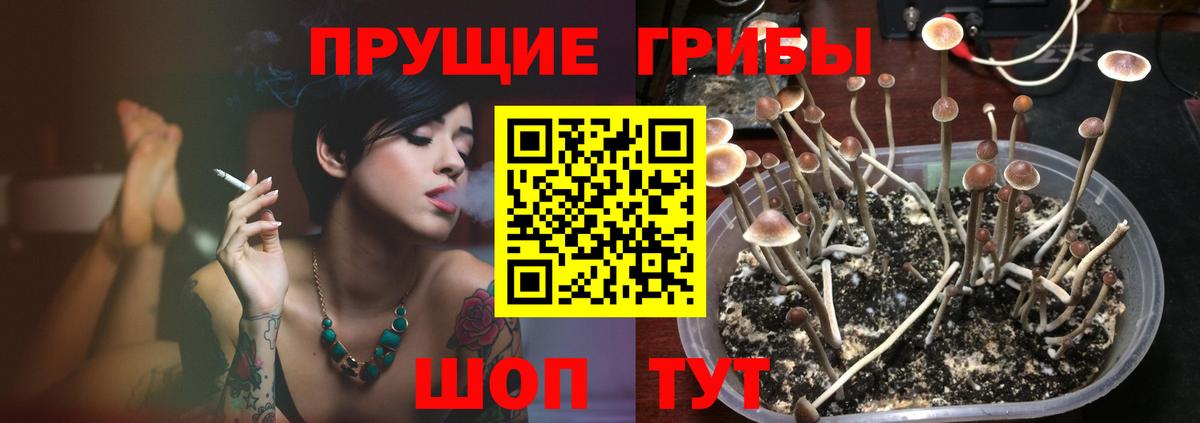Псилоцибиновые грибы Magic Shrooms Энгельс