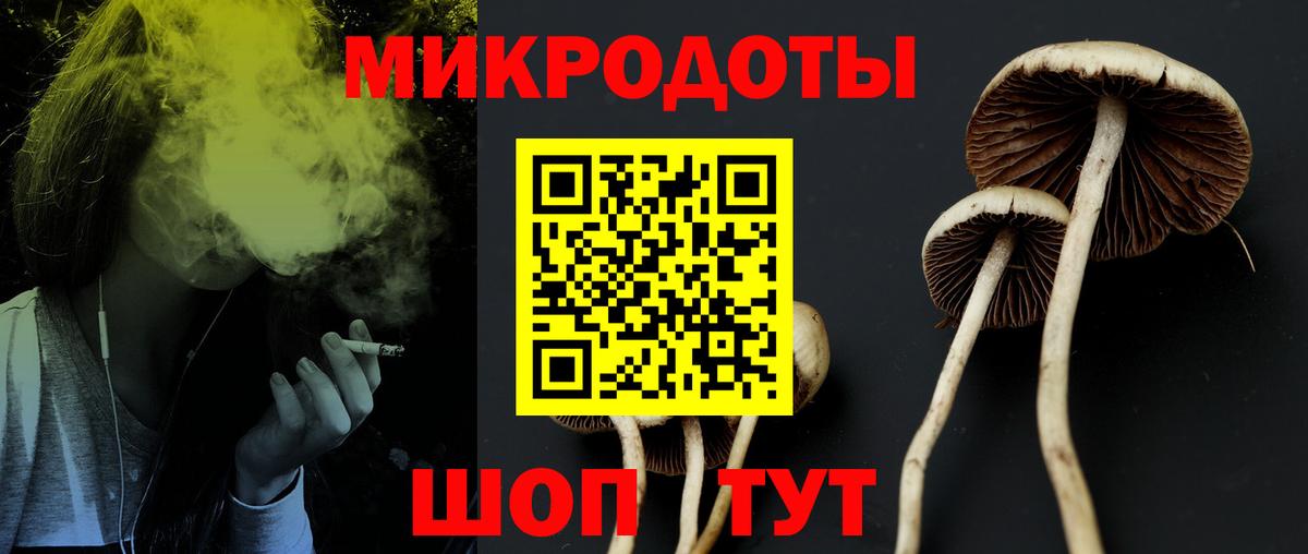 Псилоцибиновые грибы MAGIC MUSHROOMS  Вход с VPN  Галлюциногенные грибы GOLDEN TEACHER  Энгельс 